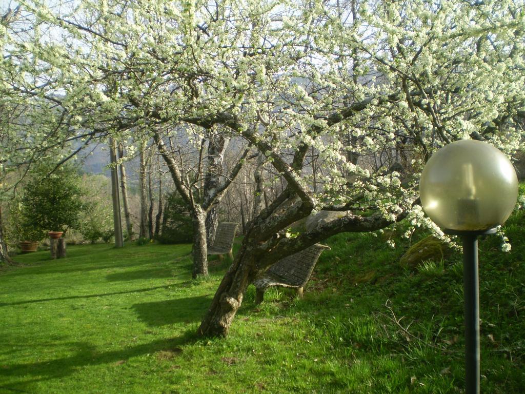 I 3 Porcellini Cutigliano Exterior foto