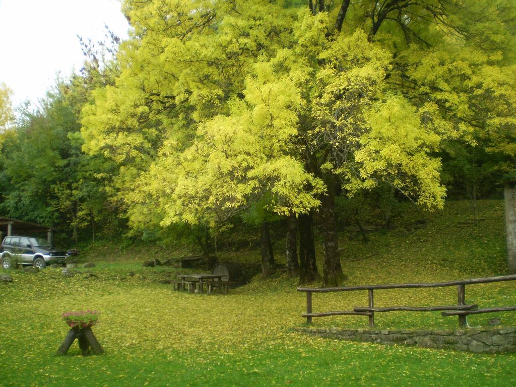 I 3 Porcellini Cutigliano Exterior foto
